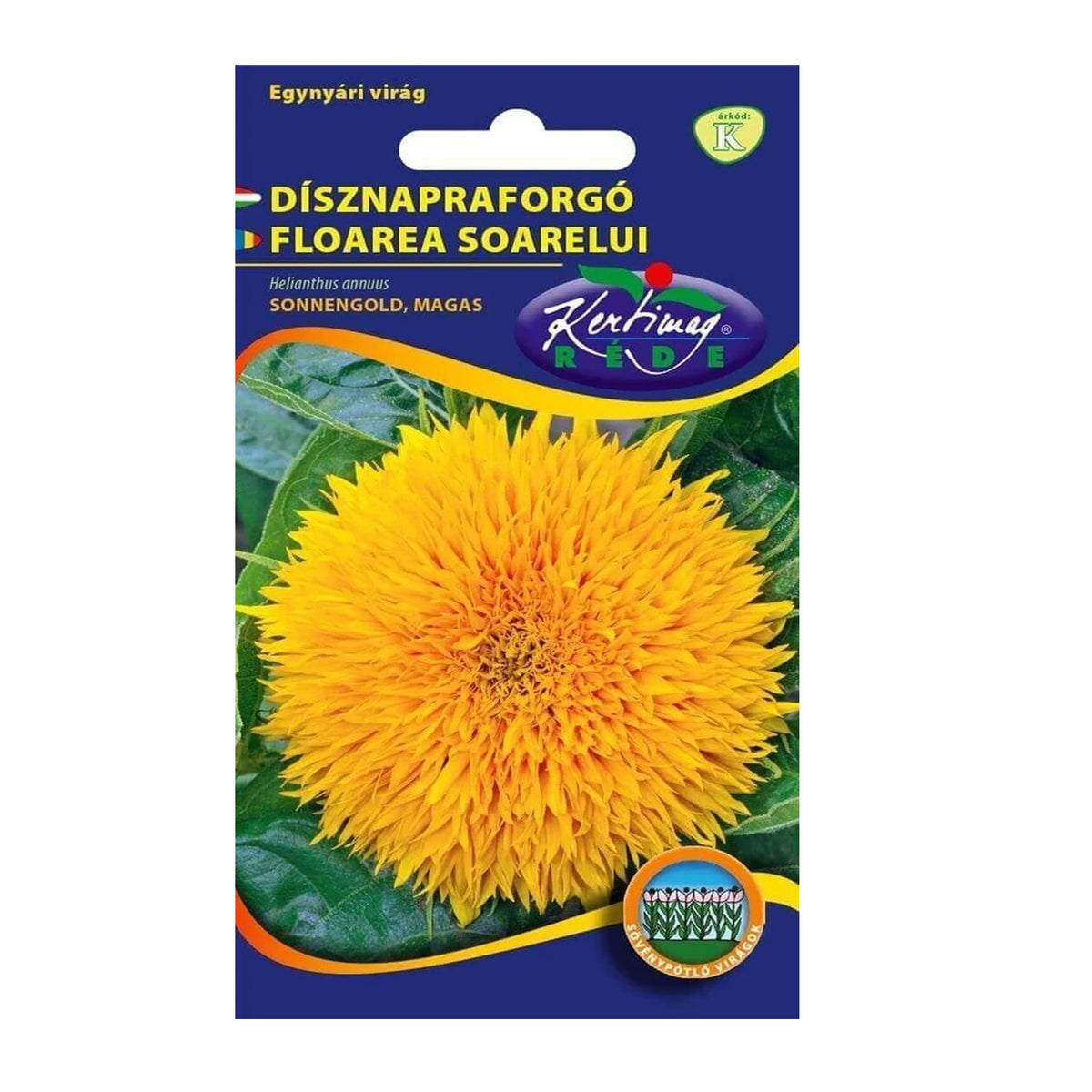 Seminte flori Floarea Soarelui decorativa SonnenGold inalta (Helianthus annuus) 2g
