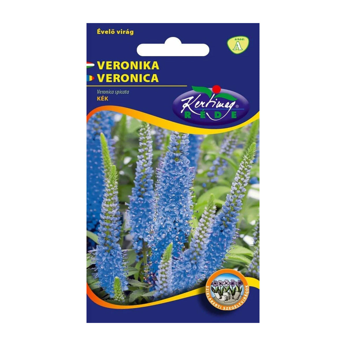 Seminte flori Veronica (Veronica spicata) albastru 0.25g