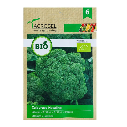 Seminte Bio Brocoli Calabrese Natalino 2g