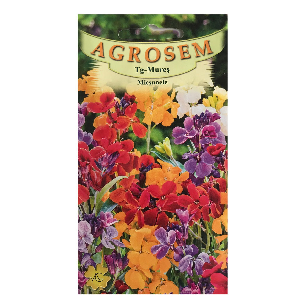 Seminte flori Micsunele (Cheiranthus cheiri) mix 0.3g