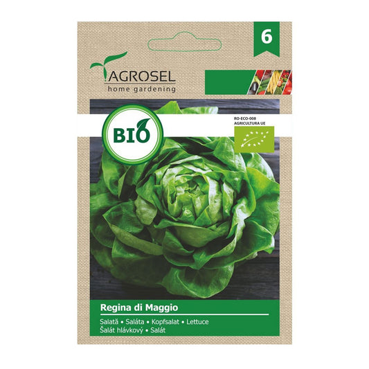 Seminte Bio Salata Regina di Maggio 2.5g