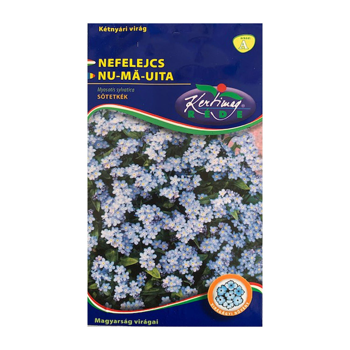 Seminte flori Nu ma uita (Myosotis sylvatica) albastra 0.25g