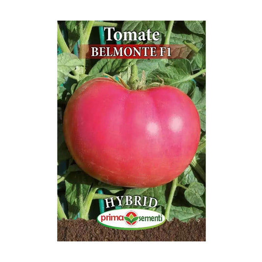 Seminte Tomate Belmonte F1 0.3g