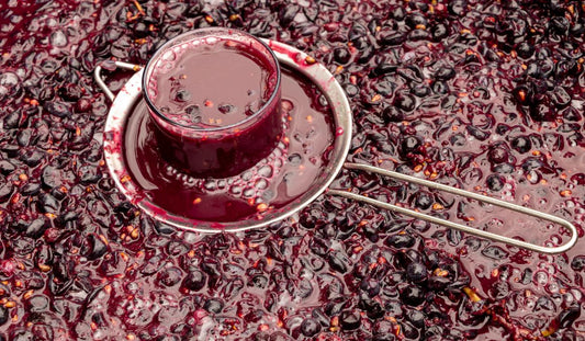 Vinificatie acasa - cum alegi drojdia de vin potrivita