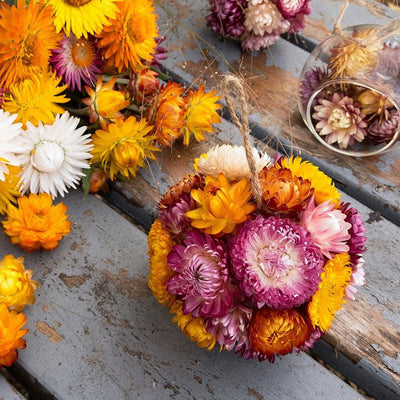 Seminte flori anuale Uscate, Buchete, Urcatoare