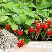 Ingrasaminte universale