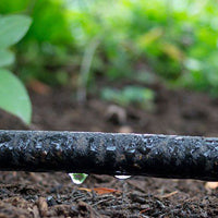 Irigare prin picurare