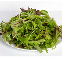 Seminte Verdeturi tip Baby Leaf (cu frunze mici)