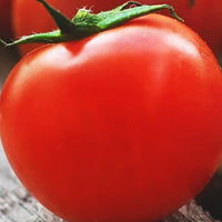 Seminte Tomate (Rosii)