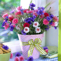 Thumbnail for Seminte flori Albastrele (Centaurea cyanus) mix 0.7g