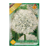 Thumbnail for Bulbi Ceapa ornamentala Mount Everest 1 buc