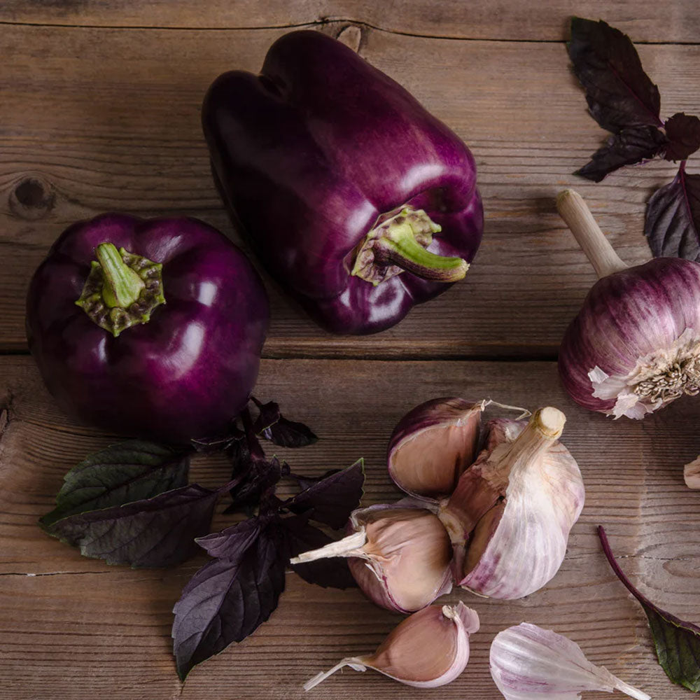 Seminte Ardei Gras Blocky Purple F1 0.2g