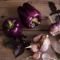 Thumbnail for Seminte Ardei Gras Blocky Purple F1 0.2g