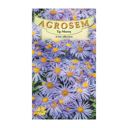 Seminte flori Aster (Aster amellus) albastru 0.05g