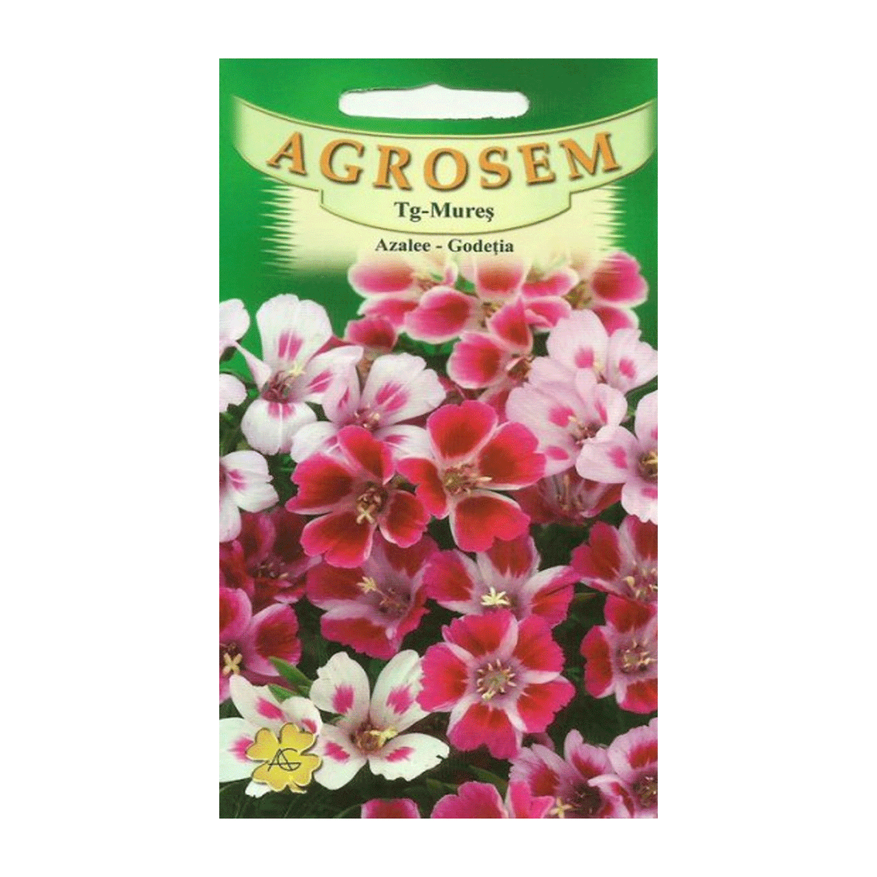 Seminte flori Azalee-Godetia (Godetia grandiflora) mix 0.3g