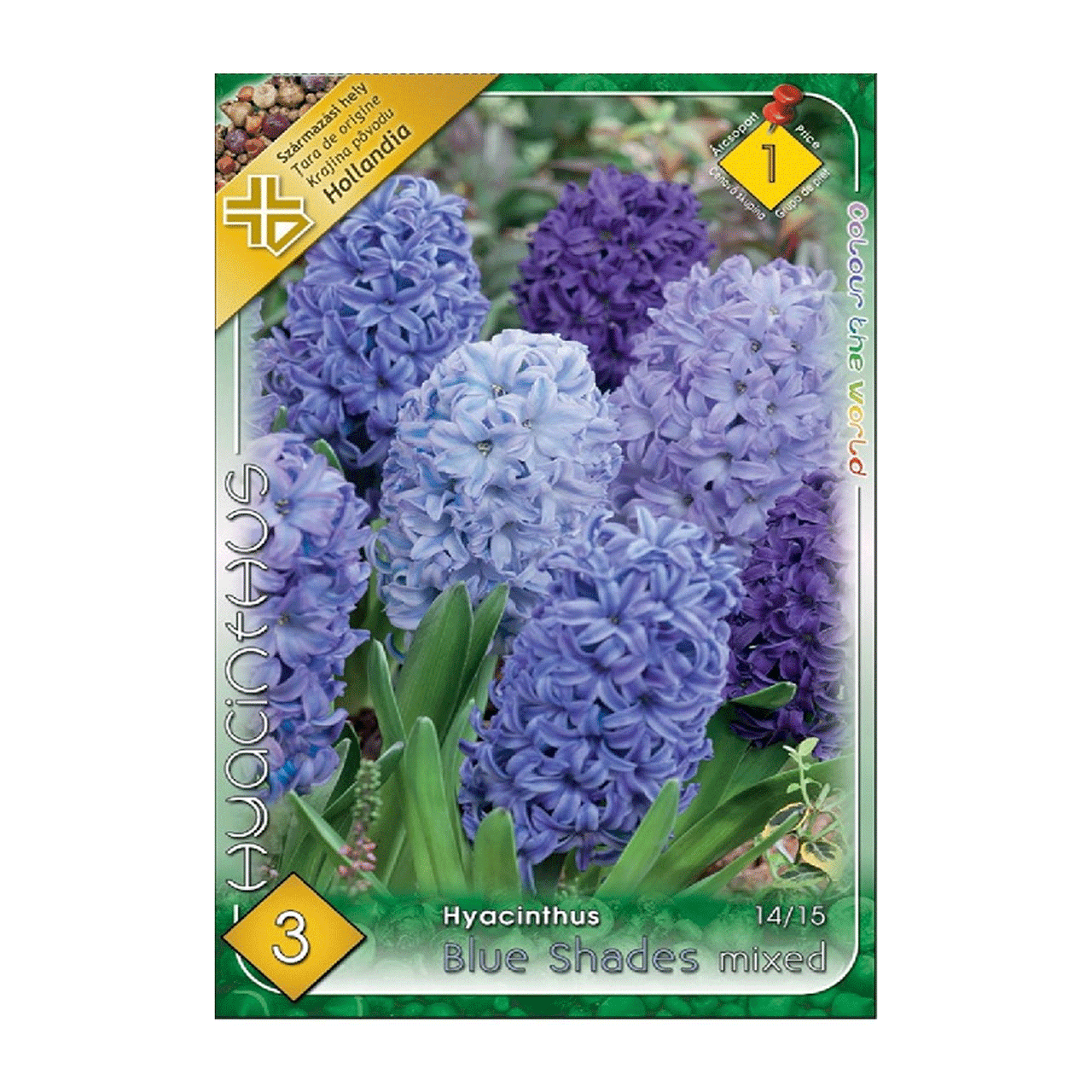 Bulbi Zambile Blue Shades Mix 3 buc