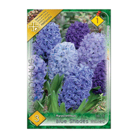 Thumbnail for Bulbi Zambile Blue Shades Mix 3 buc