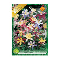 Thumbnail for Bulbi Aquilegia Mckana mix 3 buc