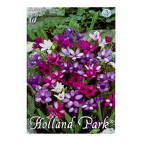 Thumbnail for Bulbi Babiana Mix 10 buc