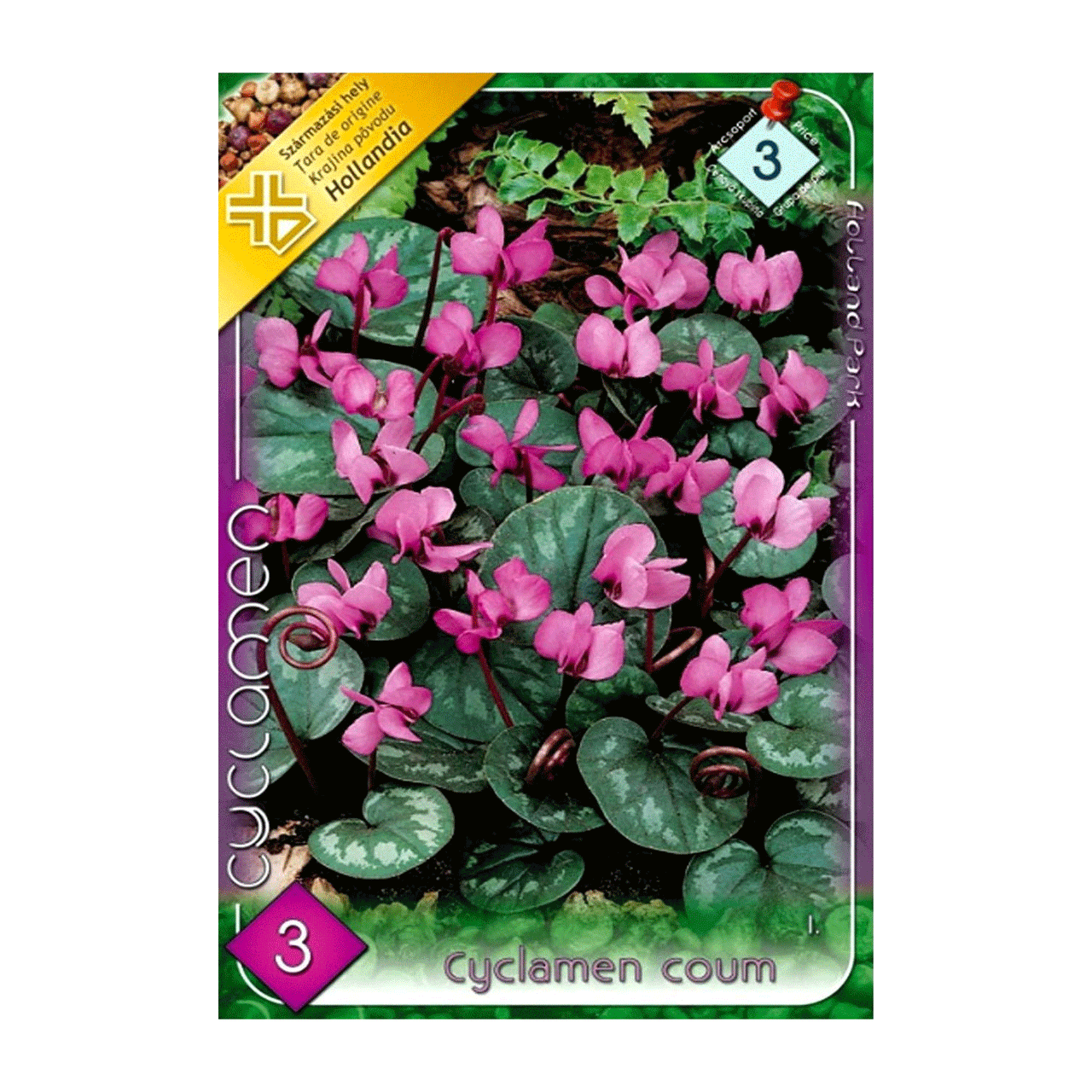 Bulbi Cyclamen coum 3 buc