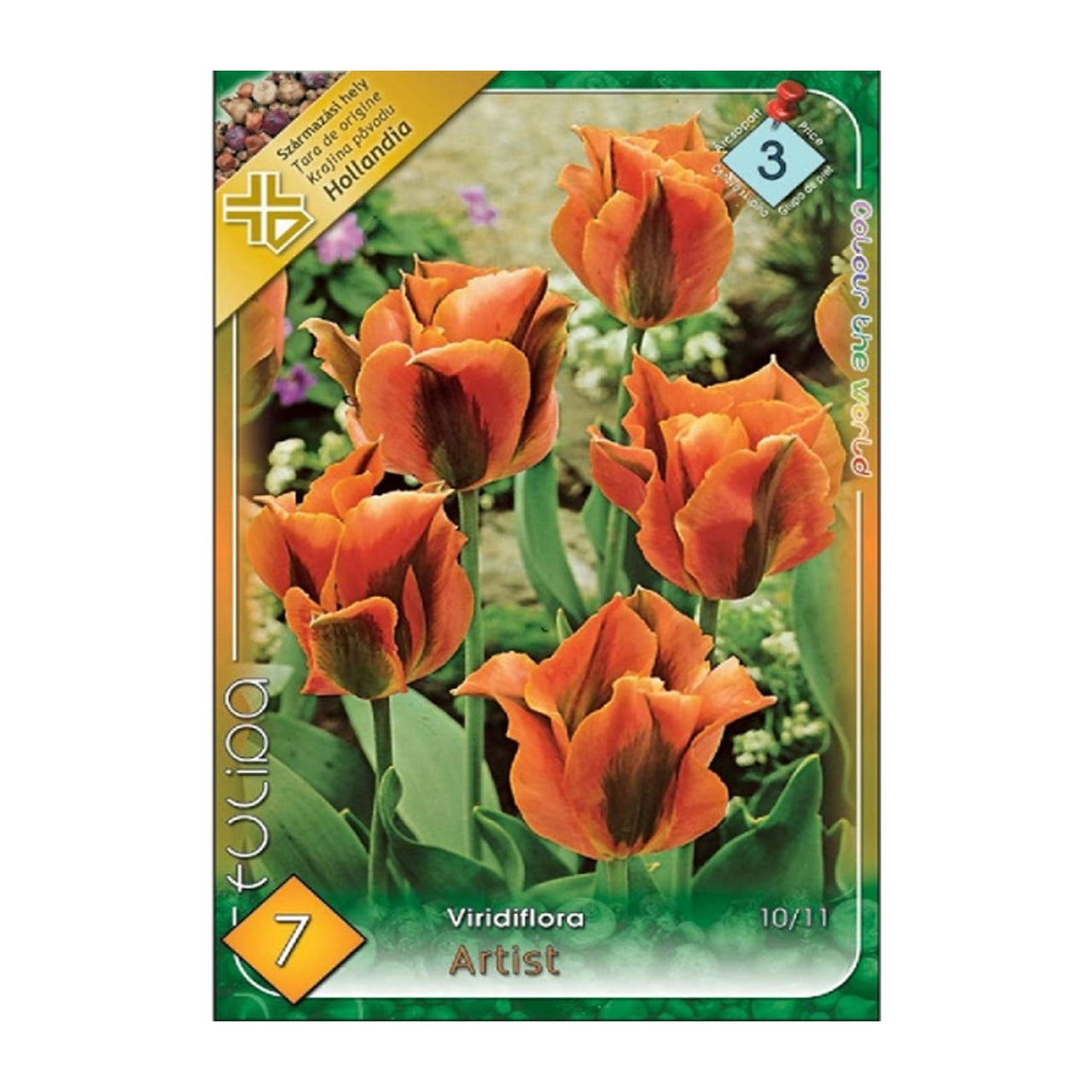 Bulbi Lalele Artist 7 buc