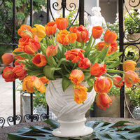 Thumbnail for Bulbi Lalele Orange Favorite 7 buc