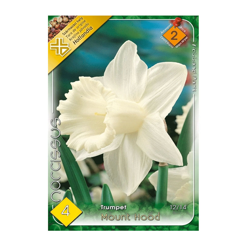 Bulbi Narcise Mount Hood 4 buc