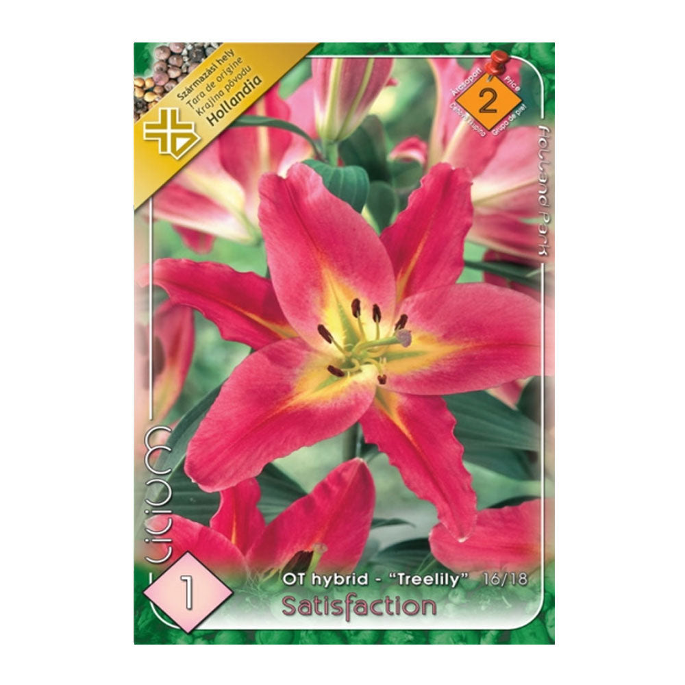 Bulbi Crini Satisfaction 1 buc