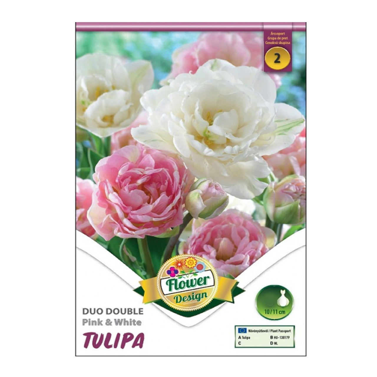 Bulbi Lalele Duble Duo Roz si Alb 6 buc