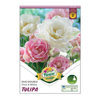 Thumbnail for Bulbi Lalele Duble Duo Roz si Alb 6 buc