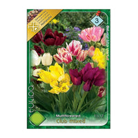 Thumbnail for Bulbi Lalele Club mixed 6 buc