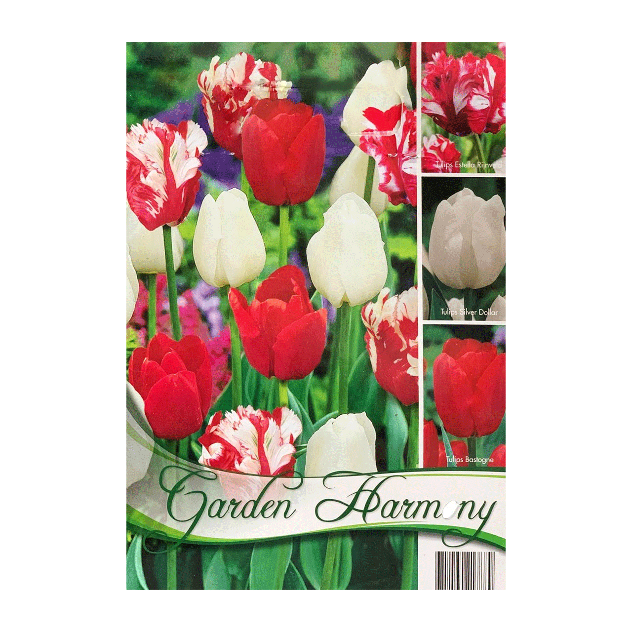 Colectia Bulbi Lalele Rosu-Alb 3x5 buc