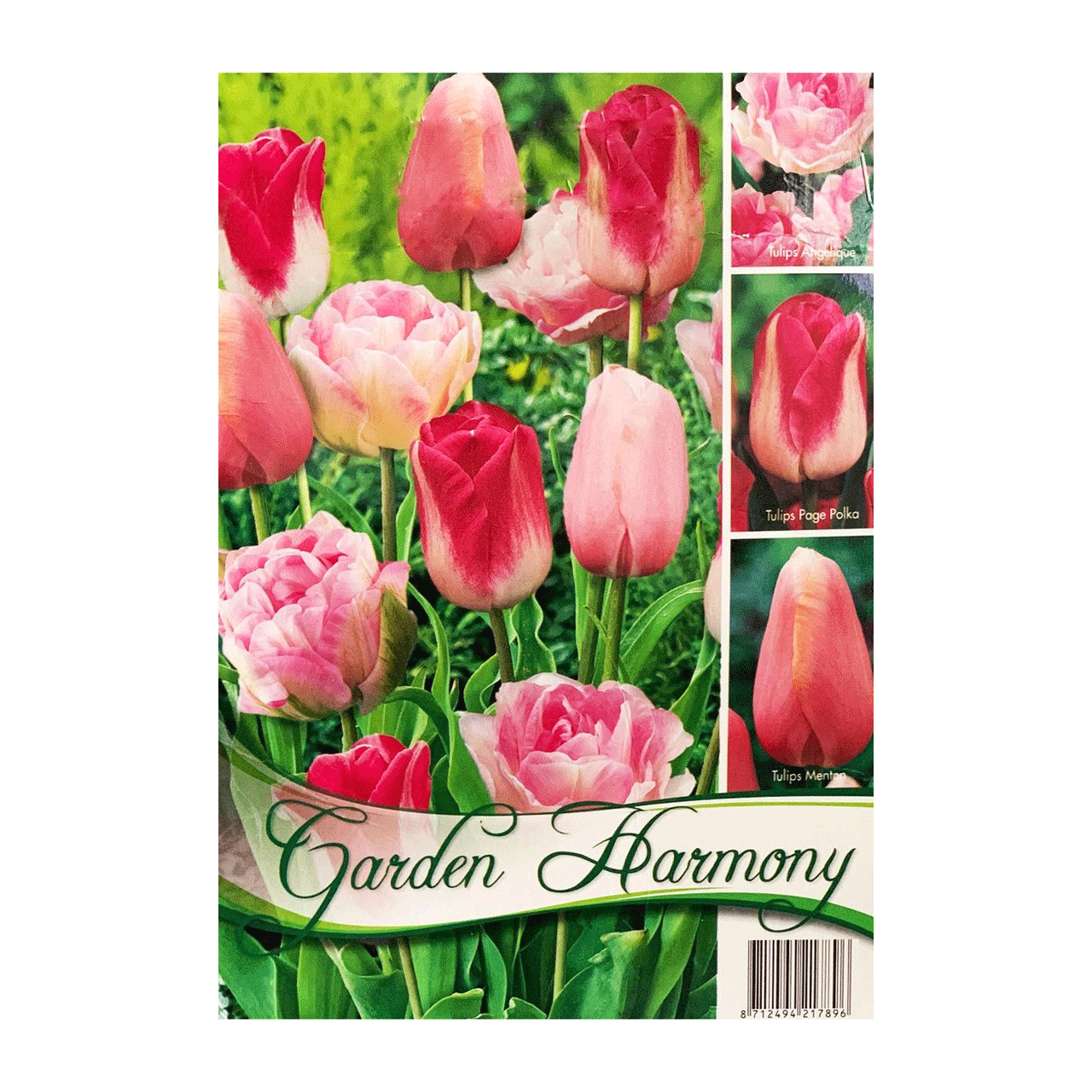 Colectia Bulbi Lalele Roz 3x5 buc