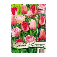 Thumbnail for Colectia Bulbi Lalele Roz 3x5 buc