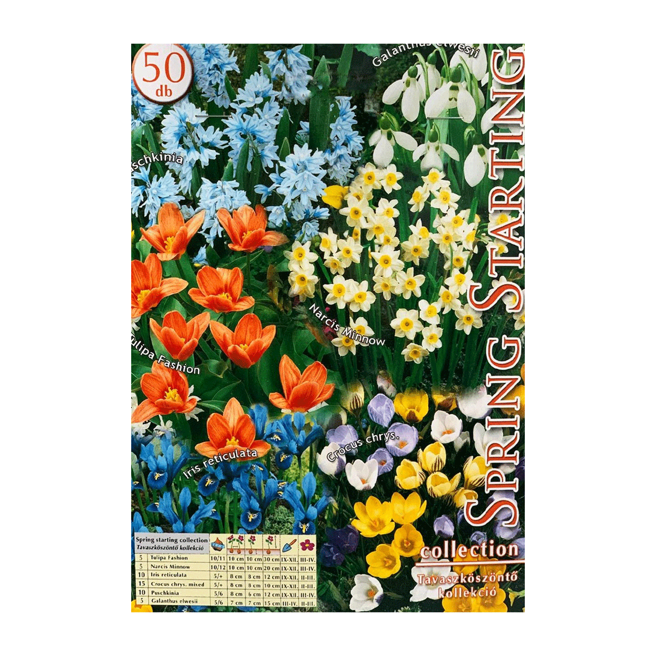 Colectia Bulbi Spring Starting 50 buc