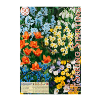 Thumbnail for Colectia Bulbi Spring Starting 50 buc