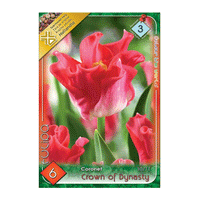 Thumbnail for Bulbi Lalele Crown of Dynasty 6 buc