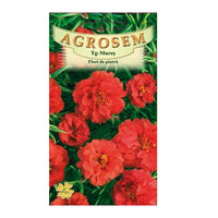 Thumbnail for Seminte flori de Piatra duble (Portulaca grandiflora) Rosii 0,1g
