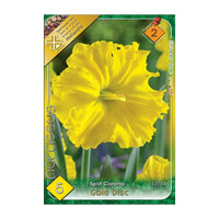 Thumbnail for Bulbi Narcise Gold Disc 5 buc