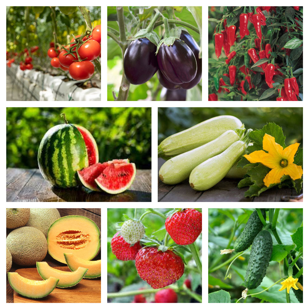 Insecticid-acaricid Voliam Targo (10ml, 100ml)