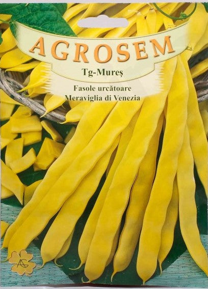 Seminte Fasole Meraviglia di Venezia 40g