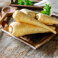 Thumbnail for Seminte Pastarnac Guernesay 4g, 30g