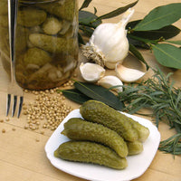 Thumbnail for Seminte Castraveti Ansor F1 250 sem