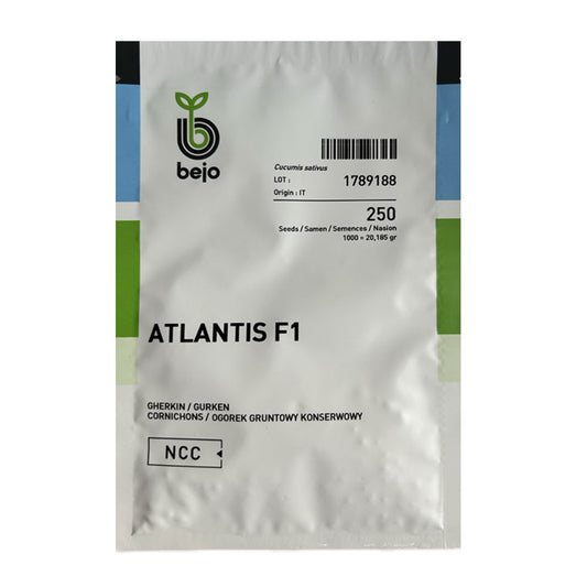 Seminte Castraveti Atlantis F1 250 sem