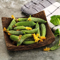 Thumbnail for Seminte Castraveti Barbara F1 2g