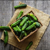 Thumbnail for Seminte Castraveti Chaikovskiy  F1 250 sem