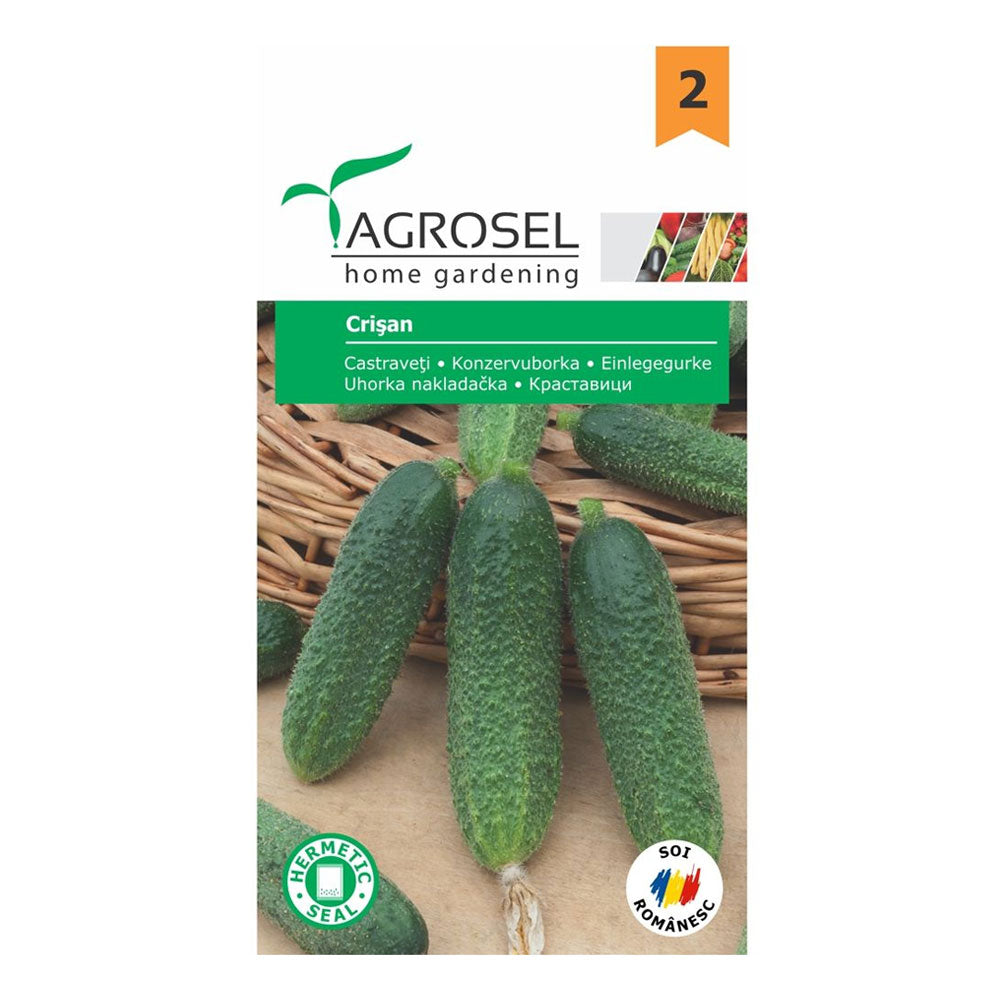 Seminte Castraveti Crisan