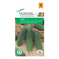 Thumbnail for Seminte Castraveti Crisan