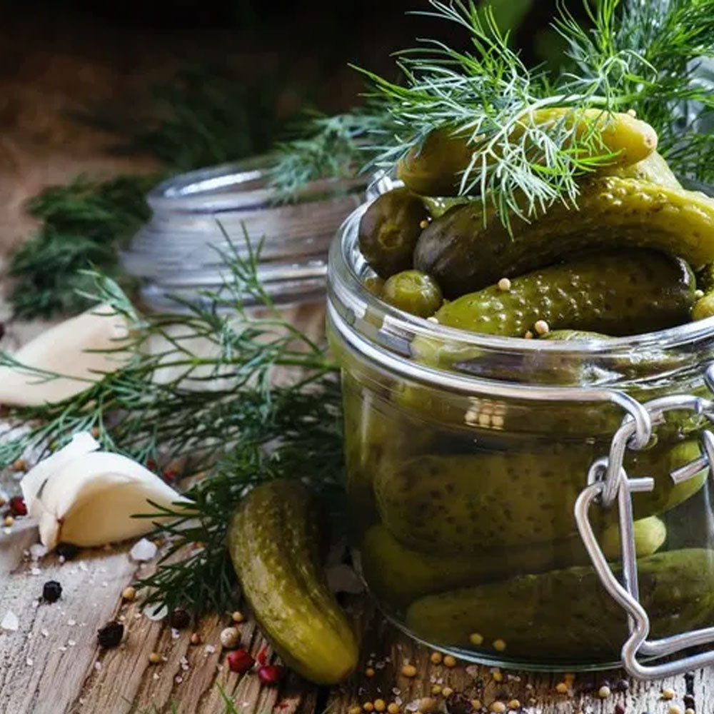 Seminte Castraveti Odette F1