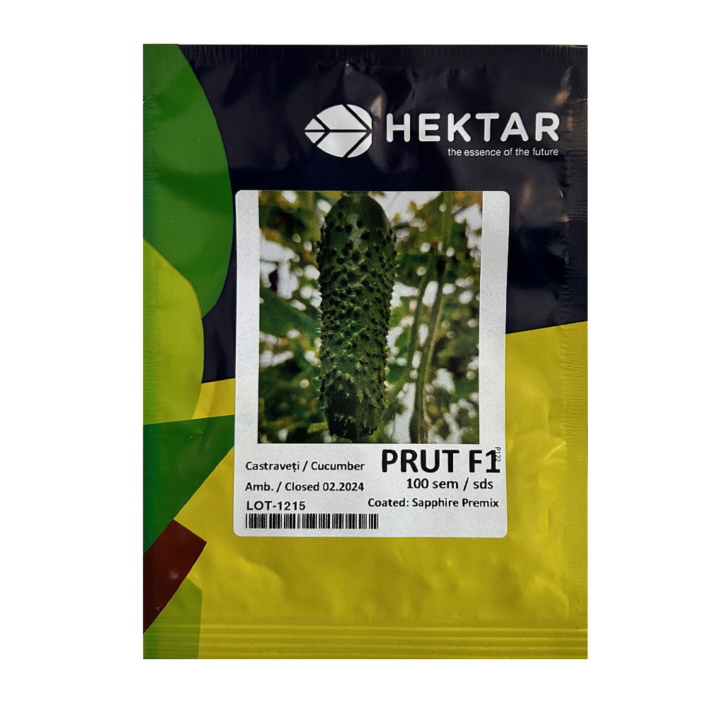 Seminte Castraveti Prut F1